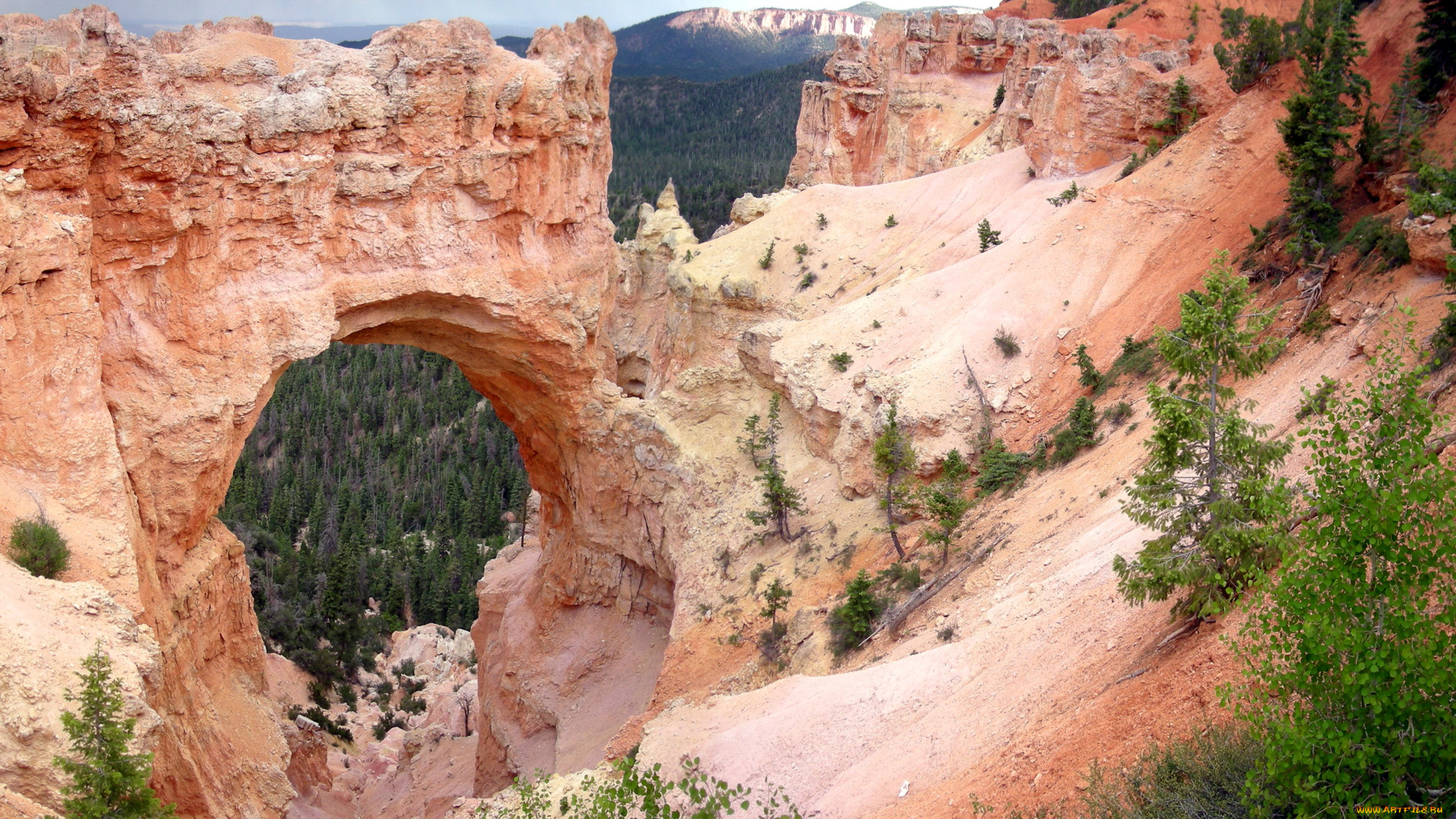, , utah, usa, natural, bridge, bryce, canyon